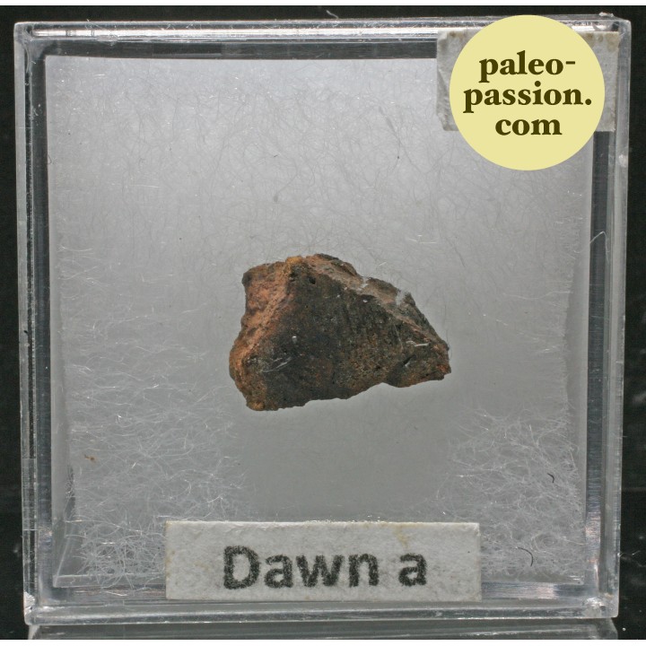 Météorite Octaédrite OBC H6 - Dawn a, Texas