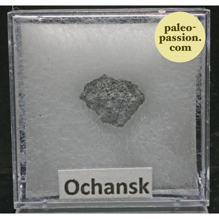 Meteorite Chondrite H4 - Ochansk, Russia