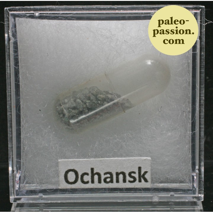 Météorite Chondrite H4 - Ochansk, Russie