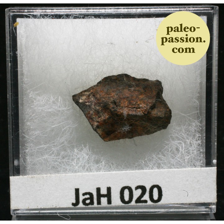 Meteorite Chondrite L6 - JaH 020, Oman