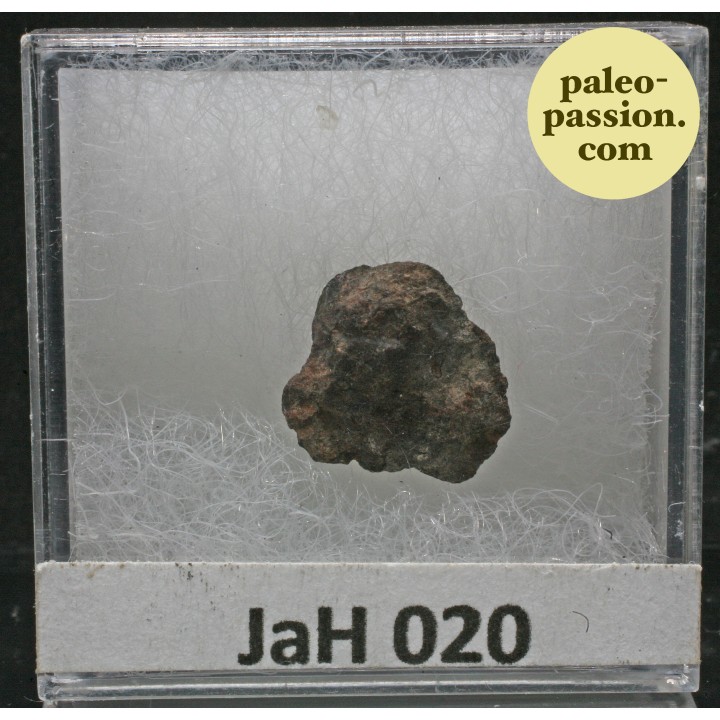 Météorite Chondrite L6 - JaH 020, Oman