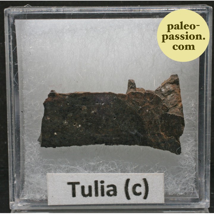 Météorite Octaédrite OBC H5-6 - Tulia c, Texas