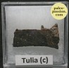 Météorite Octaédrite OBC H5-6 - Tulia c, Texas