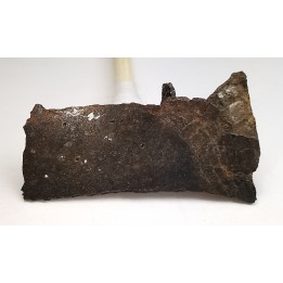 Météorite Octaédrite OBC H5-6 - Tulia c, Texas