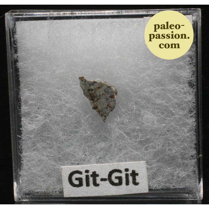 Météorite Chondrite L6 - Git-Git, Nigeria