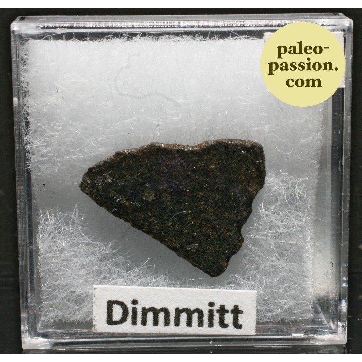 Meteorite Chondrite H3-7 - Dimmitt, Texas