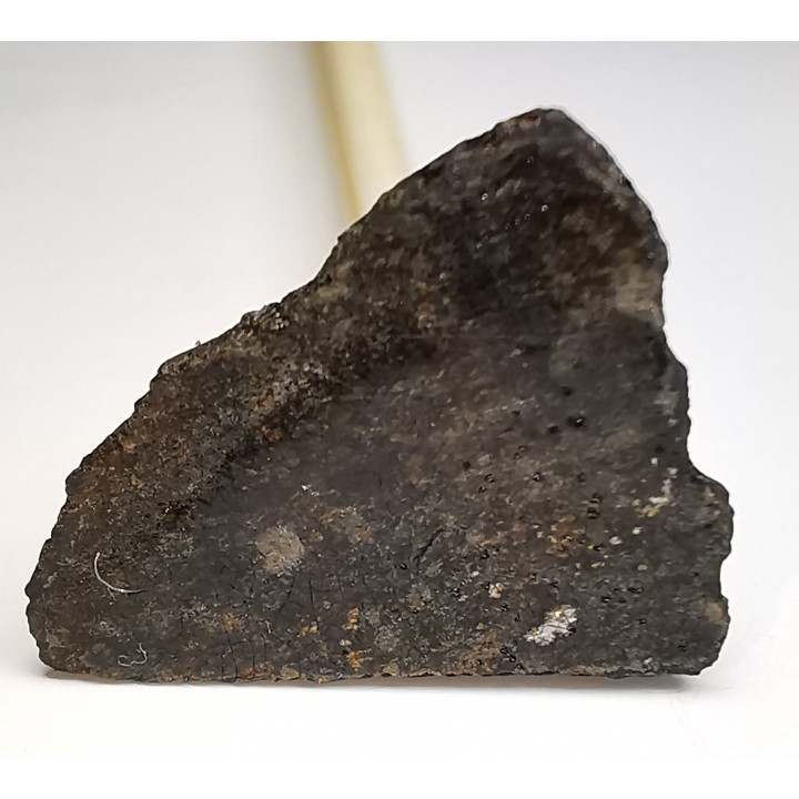 Météorite Chondrite H3-7 - Dimmitt, Texas