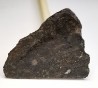 Météorite Chondrite H3-7 - Dimmitt, Texas