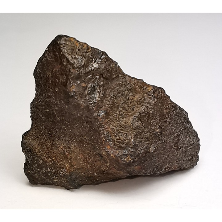 Météorite Chondrite H3-7 - Dimmitt, Texas