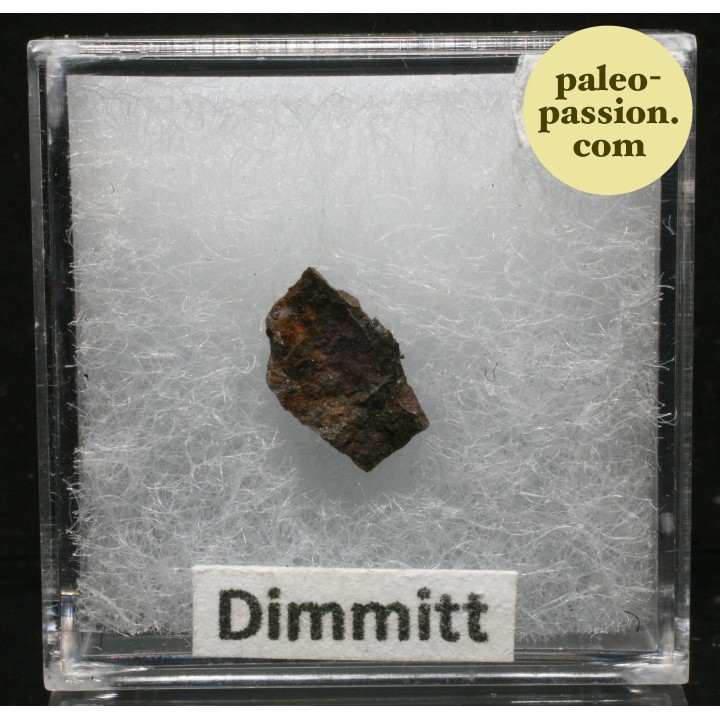 Météorite Chondrite H3-7 - Dimmitt, Texas
