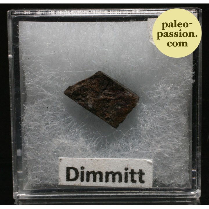 Météorite Chondrite H3-7 - Dimmitt, Texas