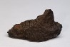 Meteorite Chondrite H5 - Ingella Station, Australia