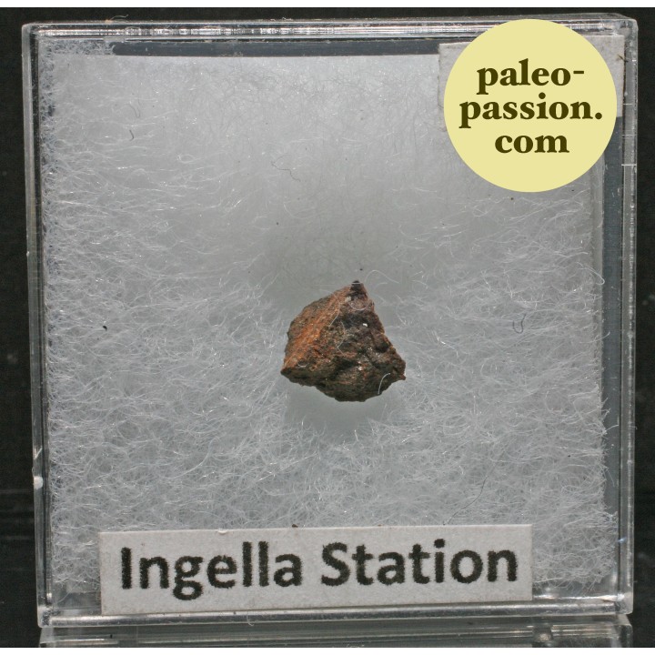 Meteorite Chondrite H5 - Ingella Station, Australia