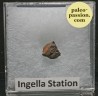 Météorite Chondrite H5 - Ingella Station, Australie
