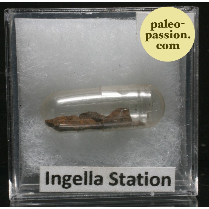 Meteorite Chondrite H5 - Ingella Station, Australia