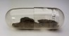 Meteorite Chondrite H5 - Ingella Station, Australia