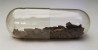 Météorite Chondrite H5 - Ingella Station, Australie
