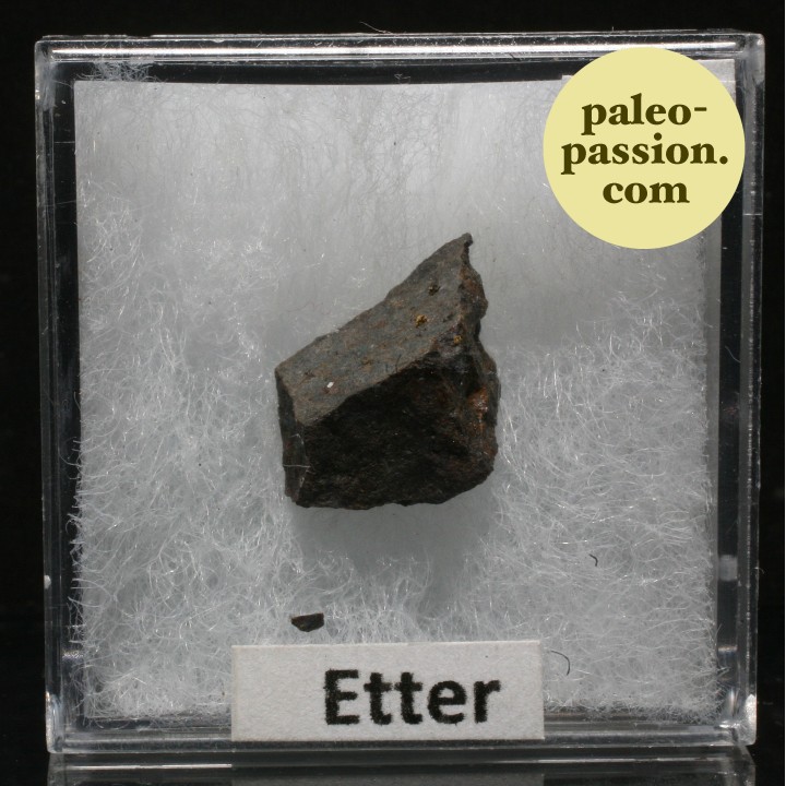 Meteorite Chondrite L5 - Etter, Texas