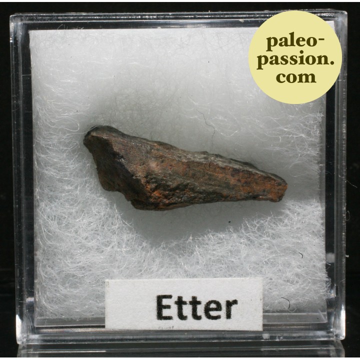 Météorite Chondrite L5 - Etter, Texas