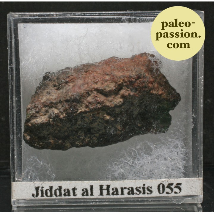 Météorite Chondrite L4/L5 - JaH 055, Oman