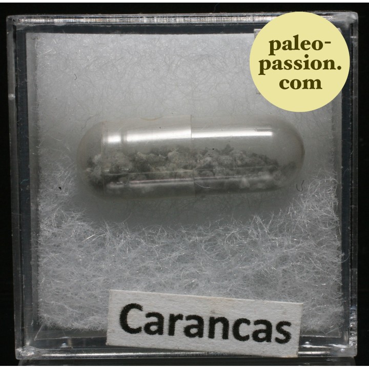 Meteorite Chondrite H4-5 - Carancas, Peru