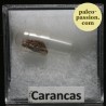 Meteorite Chondrite H4-5 - Carancas, Peru