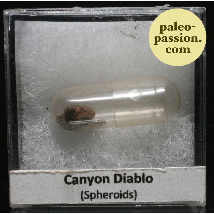 SPHEROIDES - Canyon Diablo, Arizona