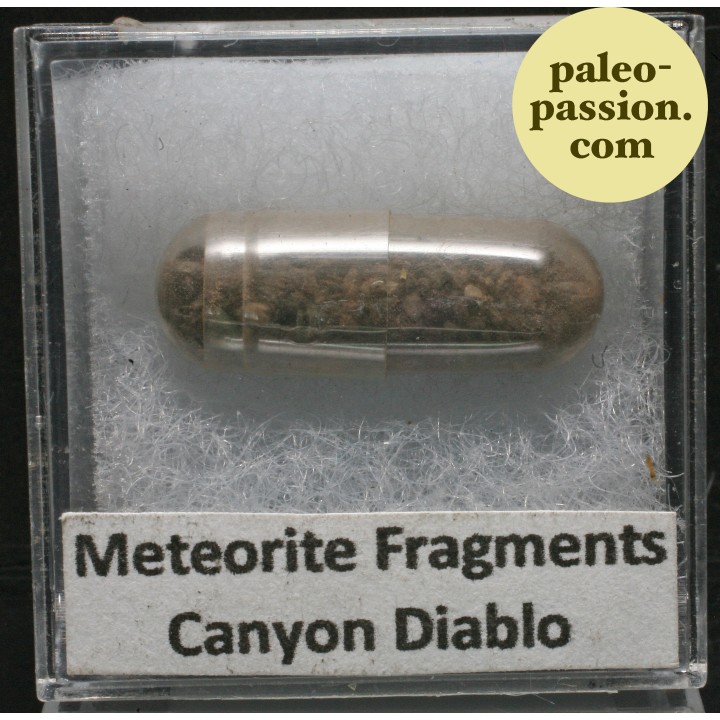 Meteorite Octahedrite - Canyon Diablo, Arizona