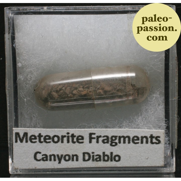 Météorite Octaédrite - Canyon Diablo, Arizona