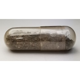 Meteorite Octahedrite - Canyon Diablo, Arizona