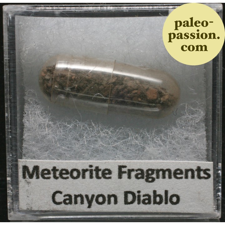 Meteorite Octahedrite - Canyon Diablo, Arizona