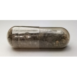 Météorite Octaédrite - Canyon Diablo, Arizona