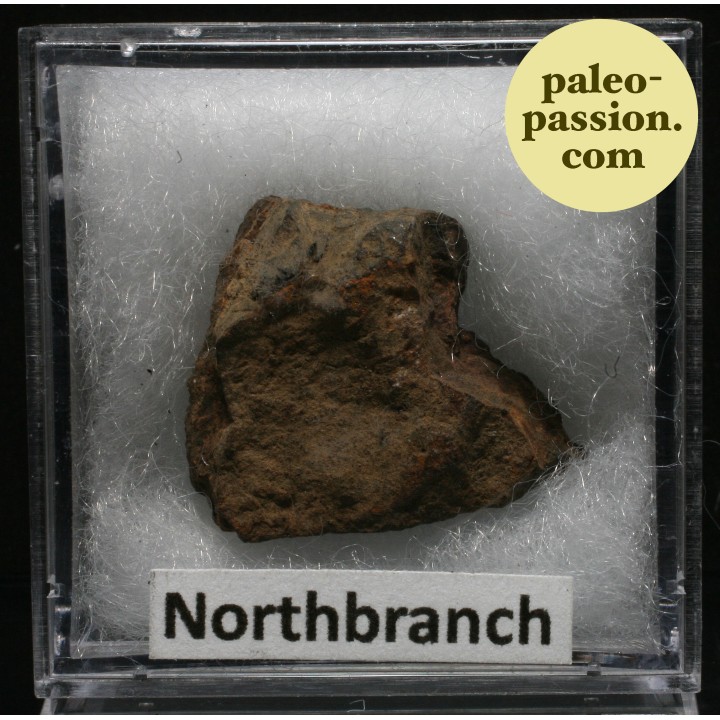 Météorite Chondrite H5 - Northbranch, Kansas