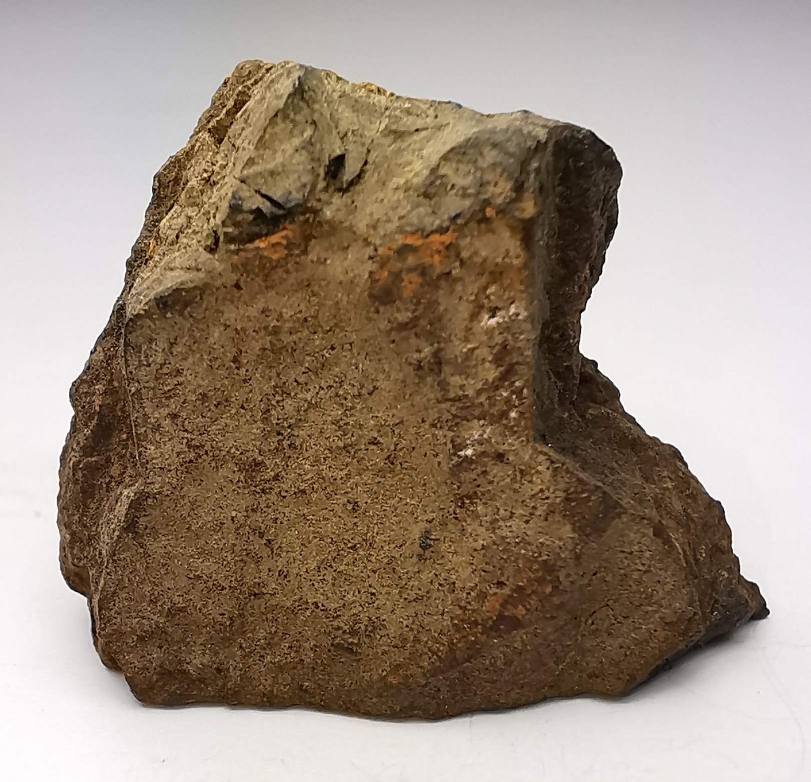 Météorite Chondrite H5 - Northbranch, Kansas