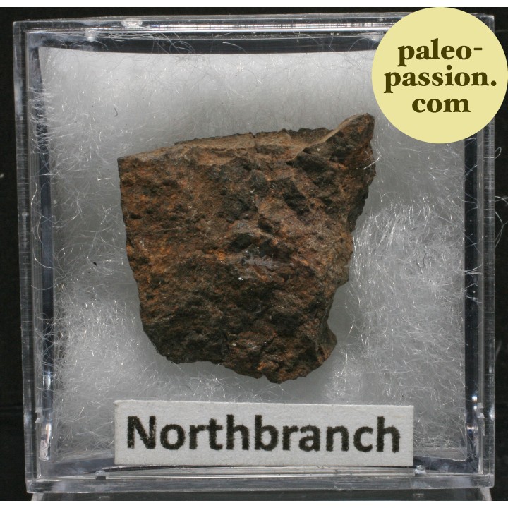 Meteorite Chondrite H5 - Northbranch, Kansas