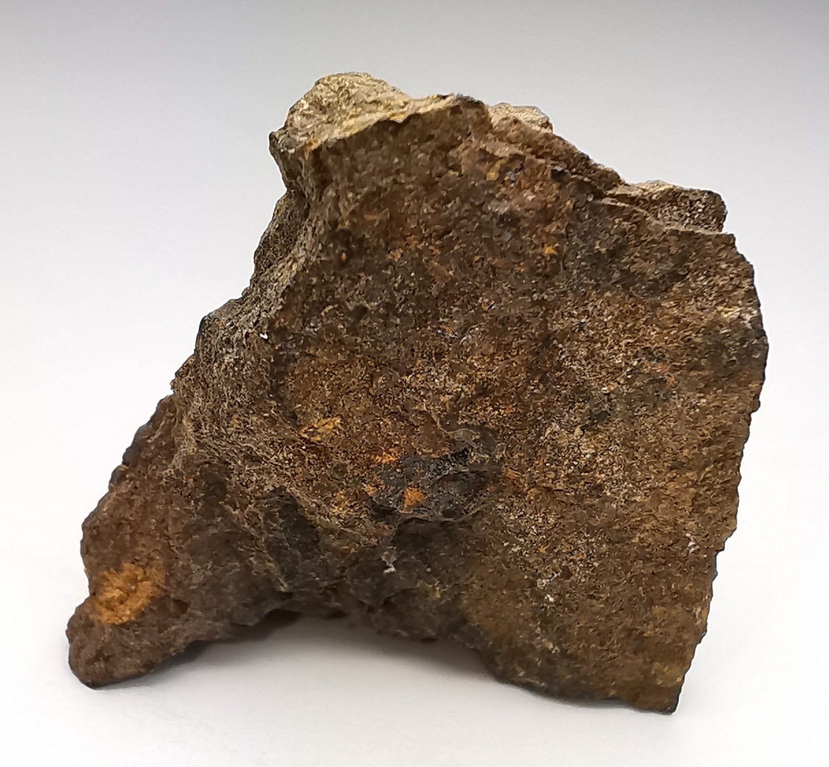 Météorite Chondrite H5 - Northbranch, Kansas