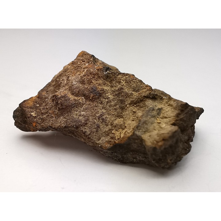 Météorite Chondrite H5 - Northbranch, Kansas