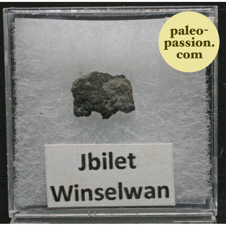 Météorite Chondrite CM2 - Jbilet Winselwan, Sahara Occidental