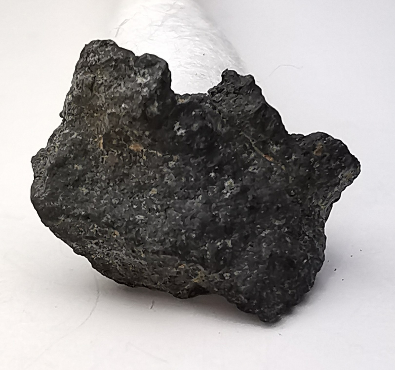 Météorite Chondrite CM2 - Jbilet Winselwan, Sahara Occidental