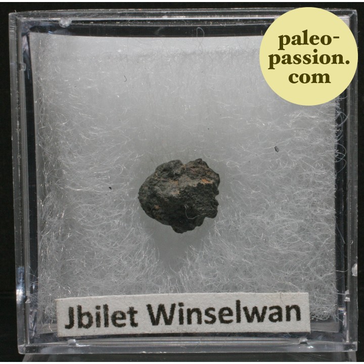 Meteorite Chondrite CM2 - Jbilet Winselwan, Western Sahara