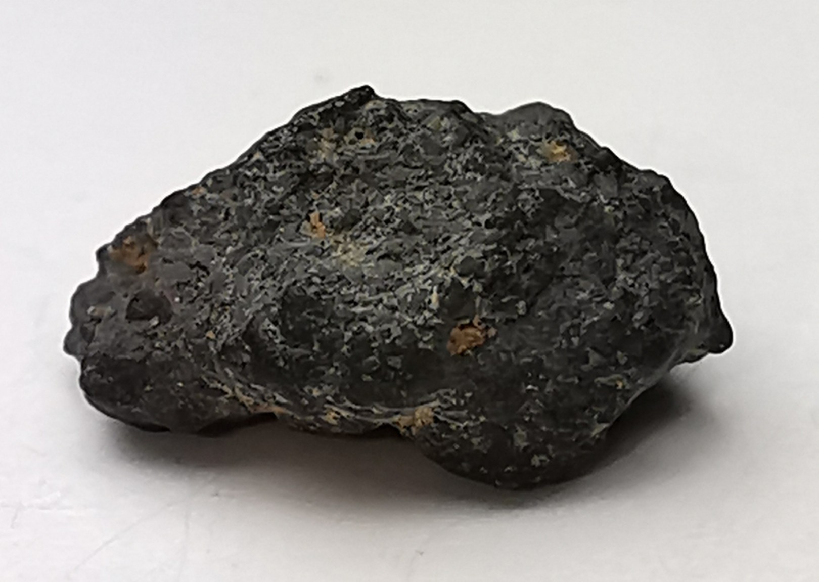 Météorite Chondrite CM2 - Jbilet Winselwan, Sahara Occidental