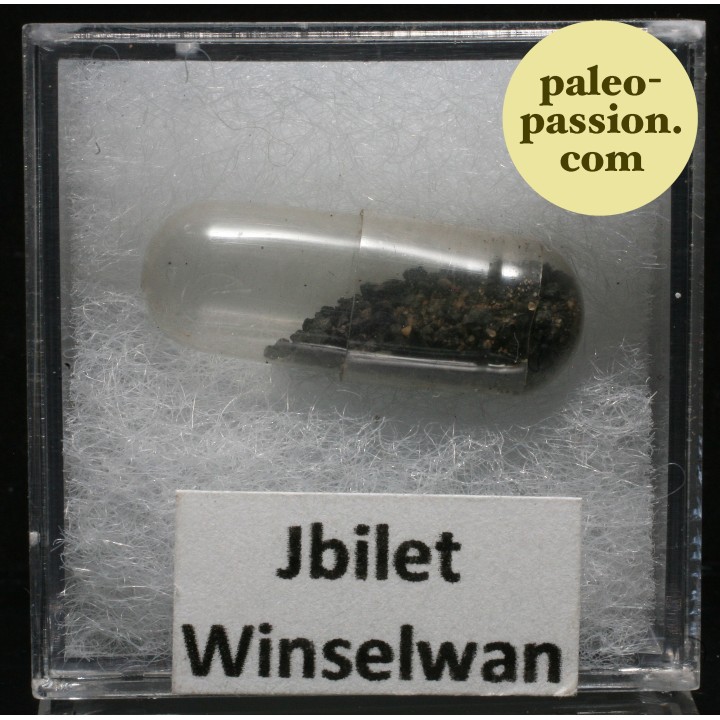 Meteorite Chondrite CM2 - Jbilet Winselwan, Western Sahara