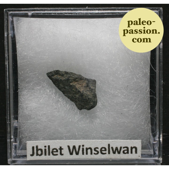 Météorite Chondrite CM2 - Jbilet Winselwan, Sahara Occidental