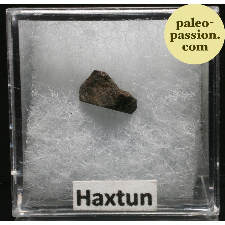 Meteorite Chondrite H/L4 - Haxtun, Colorado