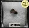 Météorite Chondrite H/L4 - Haxtun, Colorado
