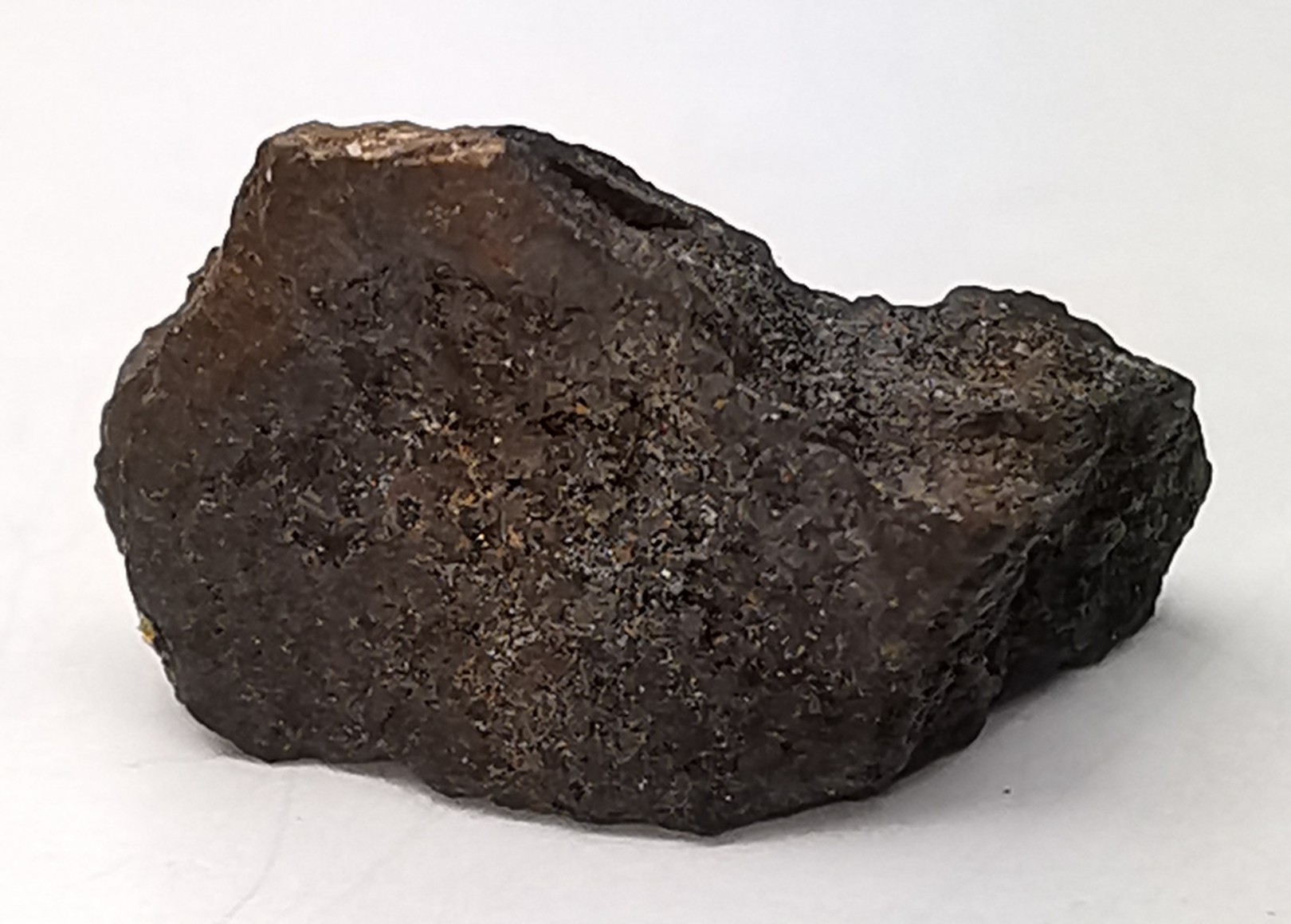 Meteorite Chondrite H/L4 - Haxtun, Colorado