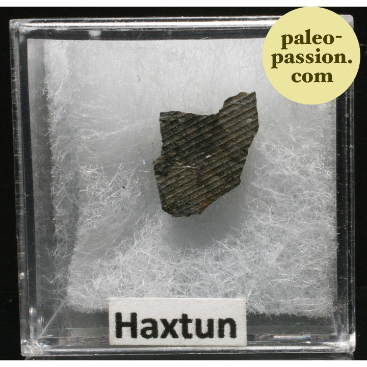 Météorite Chondrite H/L4 - Haxtun, Colorado