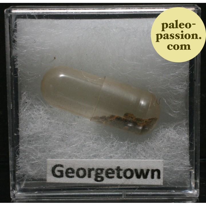 Météorite Chondrite H6 - Georgetown, Colorado