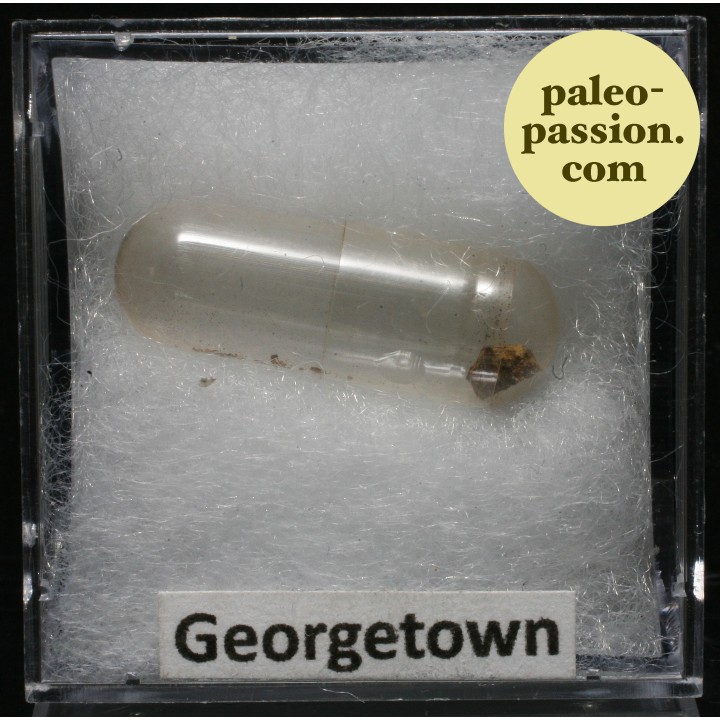 Météorite Chondrite H6 - Georgetown, Colorado