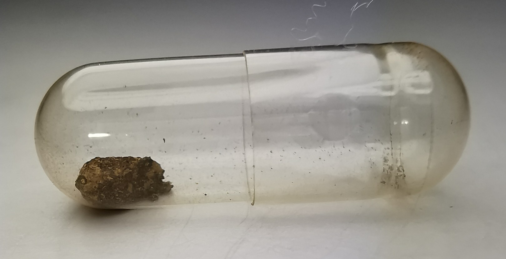 Meteorite Chondrite H6 - Georgetown, Colorado